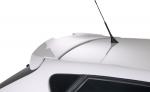 Seat Ibiza by RDX Racedesign 2010 года